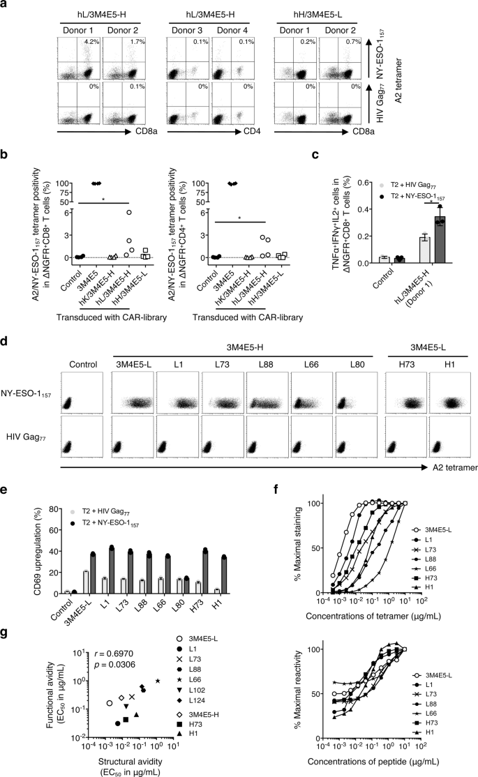 A single-chain antibody generation system yielding CAR-T cells with  superior antitumor function | Communications Biology