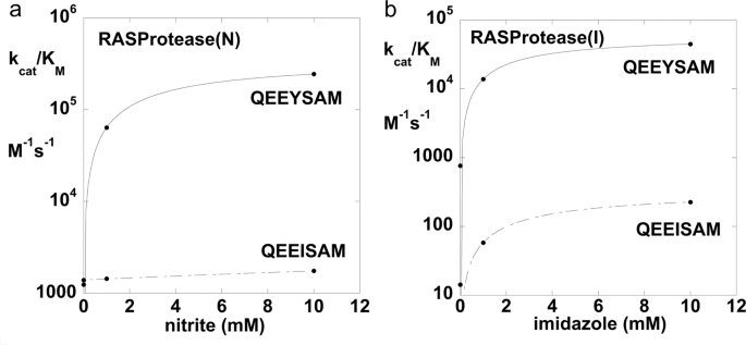 Fig. 4: Conformational and chemical rescue by native and near-native sequences.