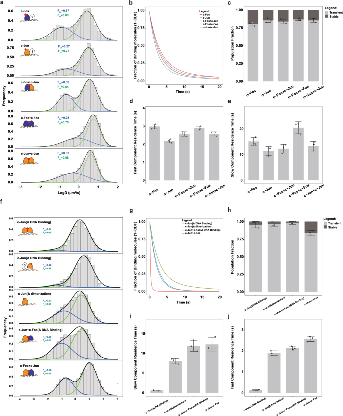 tagbifc technique allows long term single molecule tracking of protein protein interactions in living cells communications biology