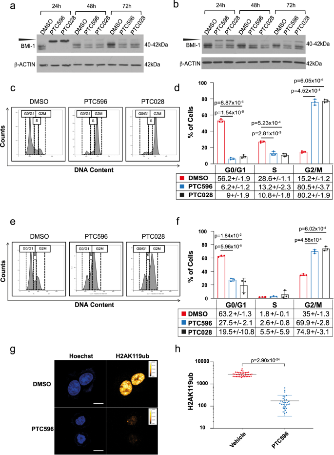 Identification Of A Targetable Kras Mutant Epithelial Population In Non Small Cell Lung Cancer Communications Biology