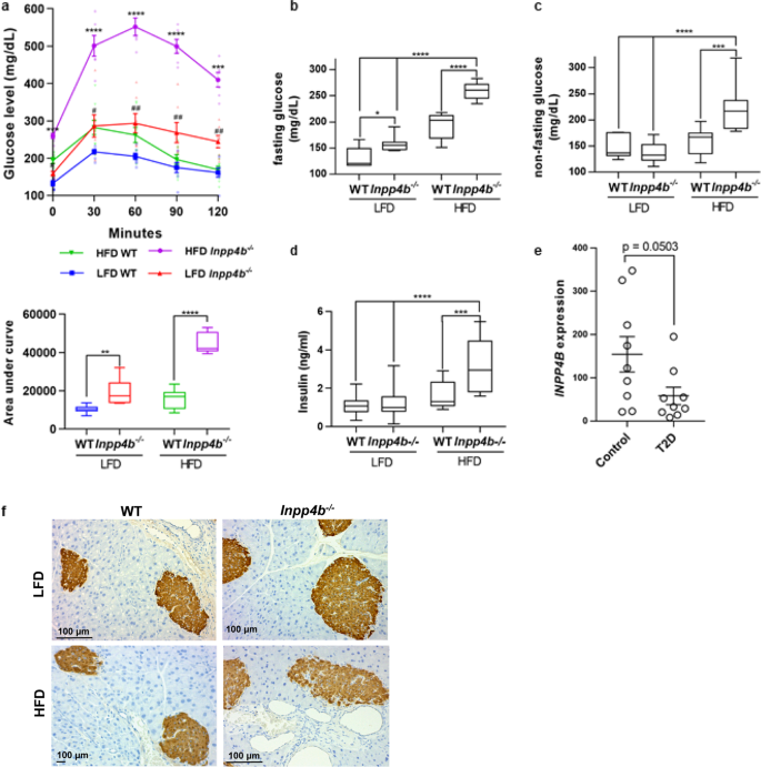 Inpp4b Protects From Metabolic Syndrome And Associated Disorders Munications Biology Inpp4b Protects From Metabolic Syndrome And Associated Disorders Munications Biology