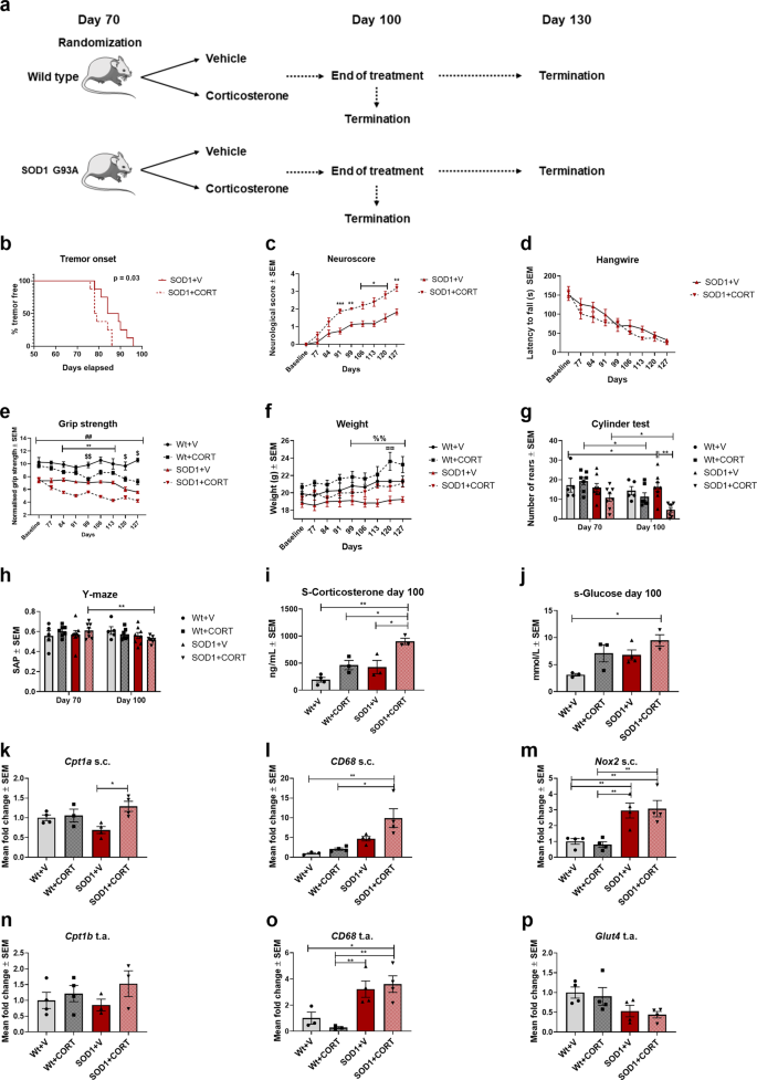 Downregulating Carnitine Palmitoyl Transferase 1 Affects Disease Progression In The Sod1 G93a Mouse Model Of Als Communications Biology