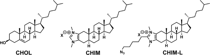 Fig 1: Imidazolium-based cholesterol analogs CHIM and CHIM-L.