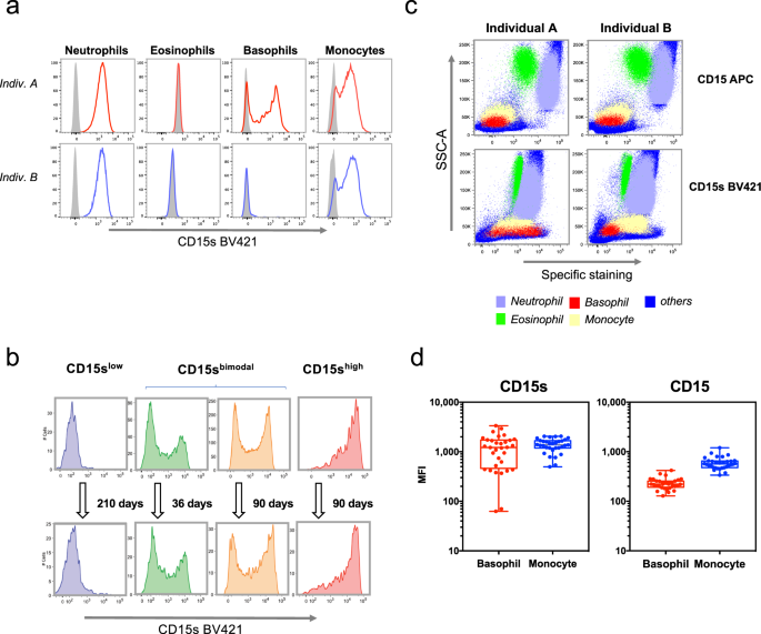 Fig. 1: CD15s (sLex) expression on human basophils.