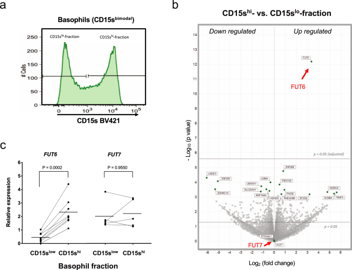 Fig. 3: Gene expression analysis of CD15shigh and CD15slow basophils.