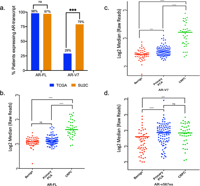 Fig. 2: Prevalence of AR-FL, AR-V7, and AR-v567es expression in large clinical data sets from patients with localized or metastatic prostate cancer.