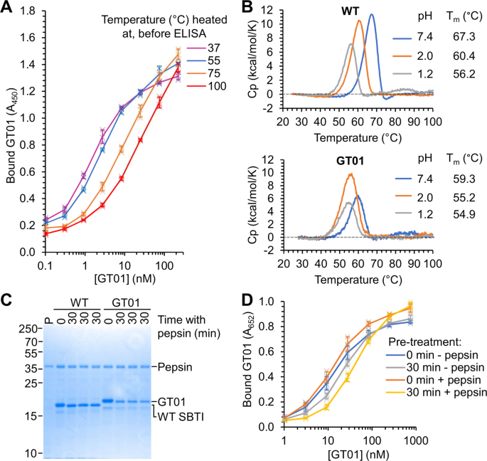 gastrobodies are engineered antibody mimetics resilient to pepsin and hydrochloric acid communications biology
