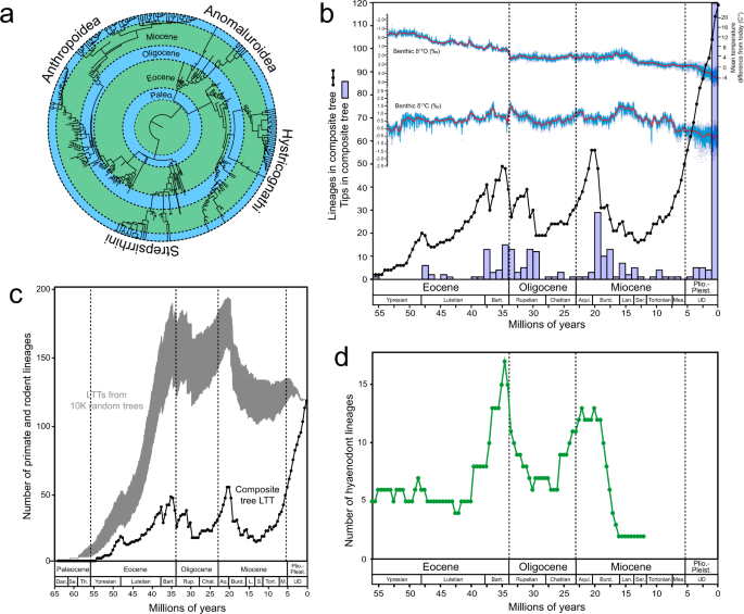 figure1