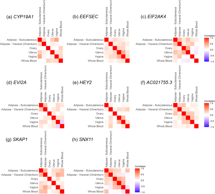 Fig. 1: Expression correlation of candidate endometrial cancer susceptibility genes between tissues.