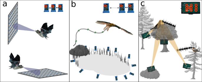 Fig. 2: Examples of array architectures and potential functions.
