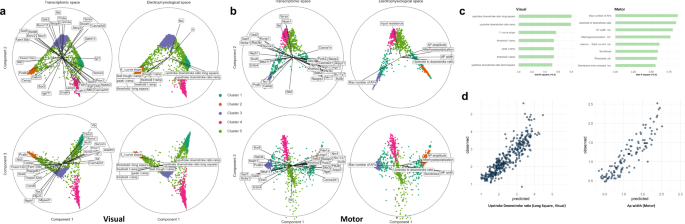 Fig. 5: Association and prediction of electrophysiological features from gene expression.