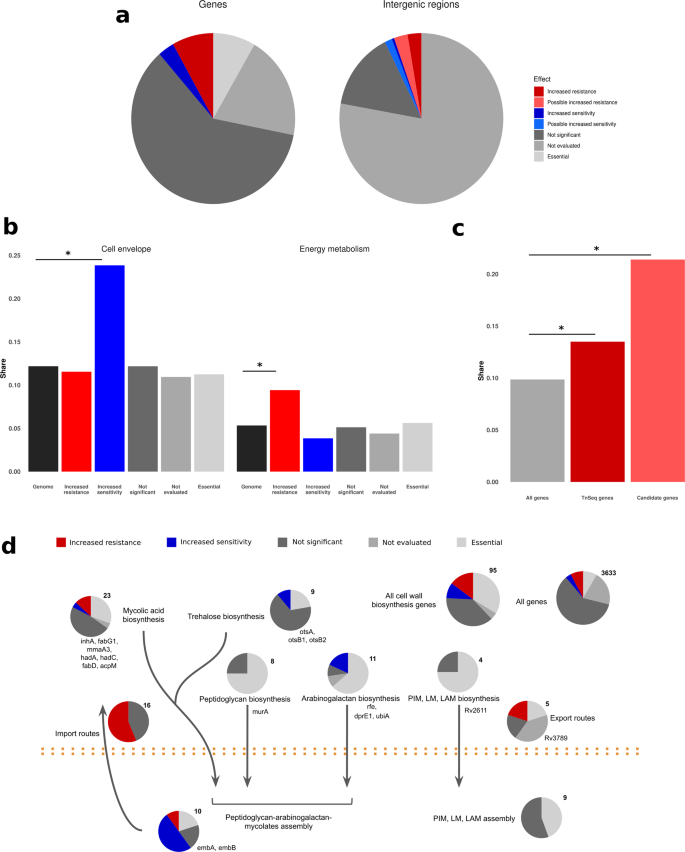Fig. 3: Genes associated with isoniazid resistance follow definite functional patterns.