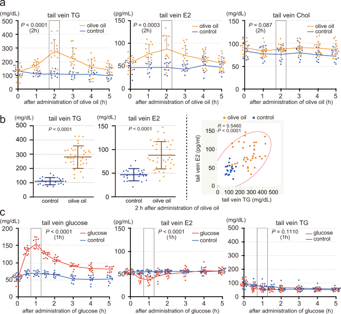 Stomach Secretes Estrogen In Response To The Blood Triglyceride Levels Communications Biology