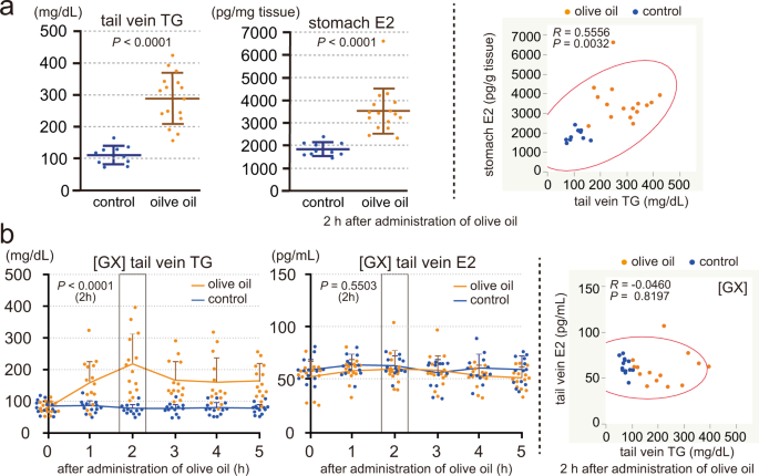 Stomach Secretes Estrogen In Response To The Blood Triglyceride Levels Communications Biology