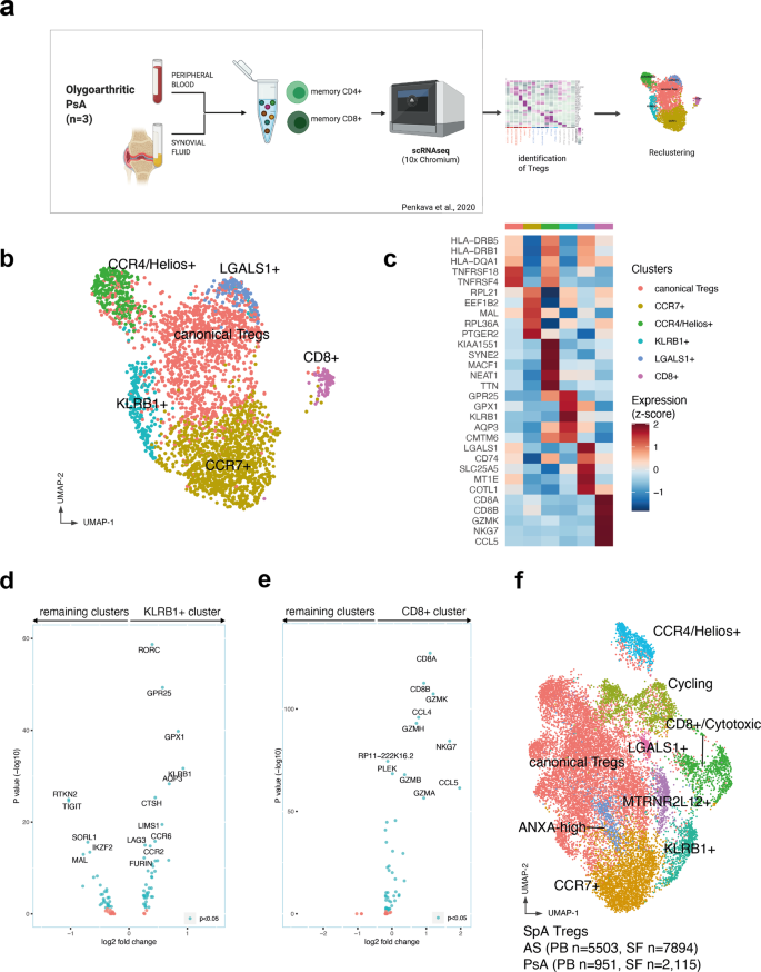 Fig. 3: Parallel single-cell RNAseq analysis of psoriatic arthritis blood and synovial fluid Tregs confirms regulatory subset identities and gene signatures.