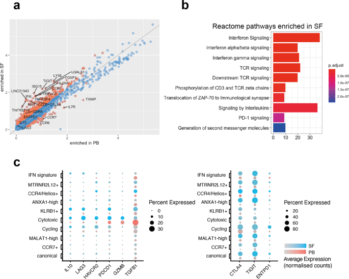 Fig. 4: AS synovial fluid Tregs upregulate inhibitory markers and show evidence of exposure to TNF and interferons.