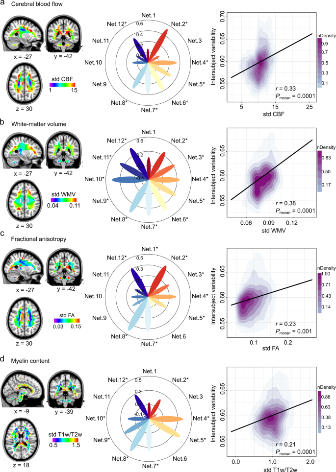 Distribution of intersubject variability in the masked