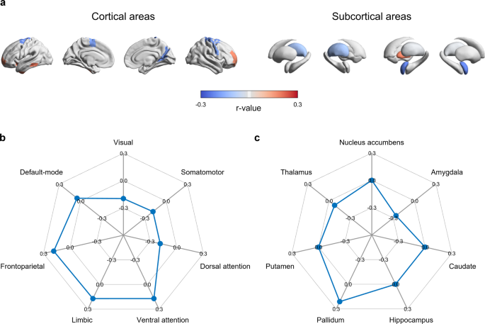 Disrupted Stepwise Functional Brain Organization In Overweight Individuals Communications Biology