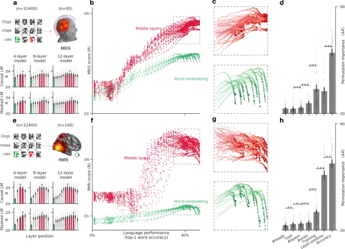 Fig. 4: Language transformers tend to converge towards brain-like representations.