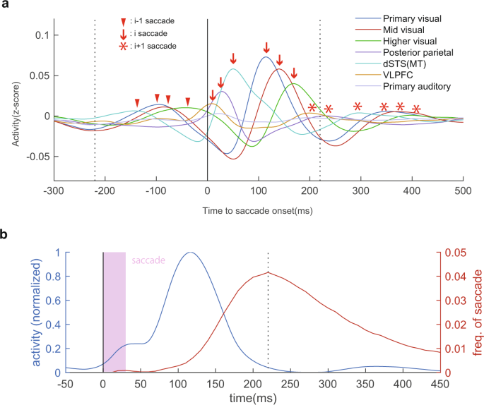 2 stream hypothesis figure 8