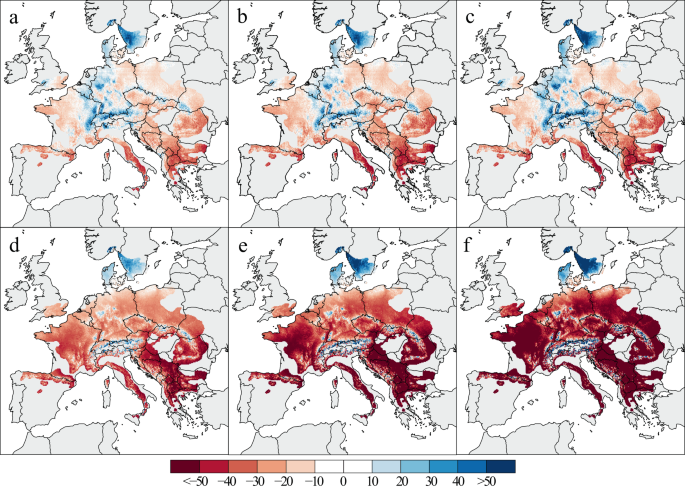 Relative changes in beech tree growth