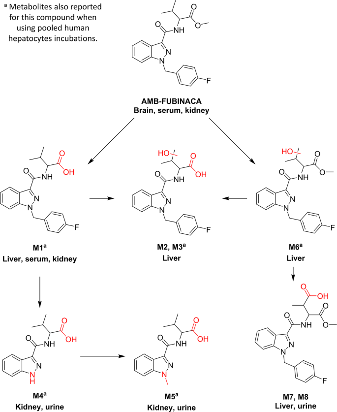 Detection and Activity Profiling of Synthetic Cannabinoids and Their  Metabolites with a Newly Developed Bioassay