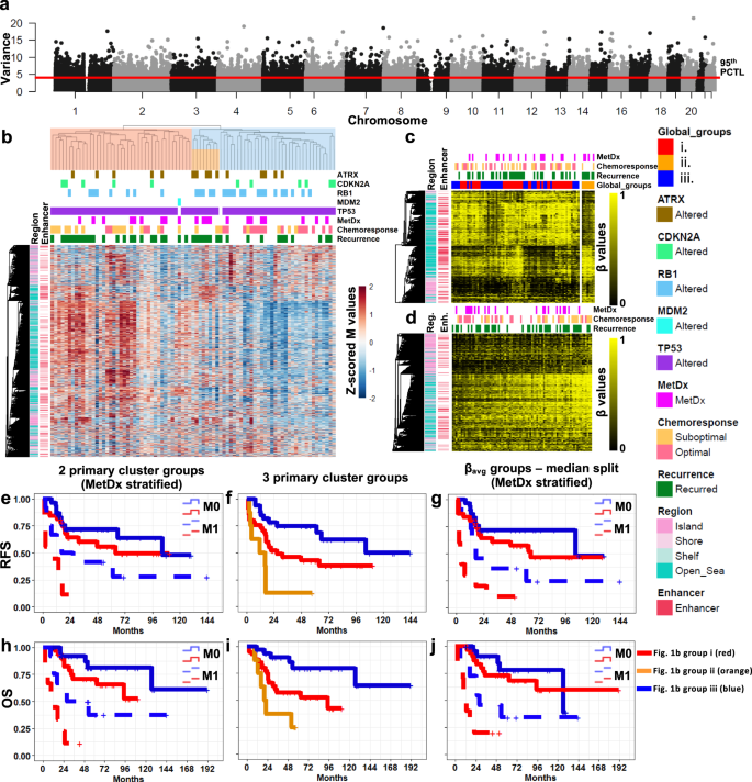 Fig. 1: Global methylation patterns of primary tumors and clinical associations.