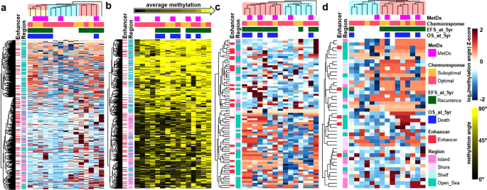 Fig. 4: Methylation profiles in the AECM validation dataset.