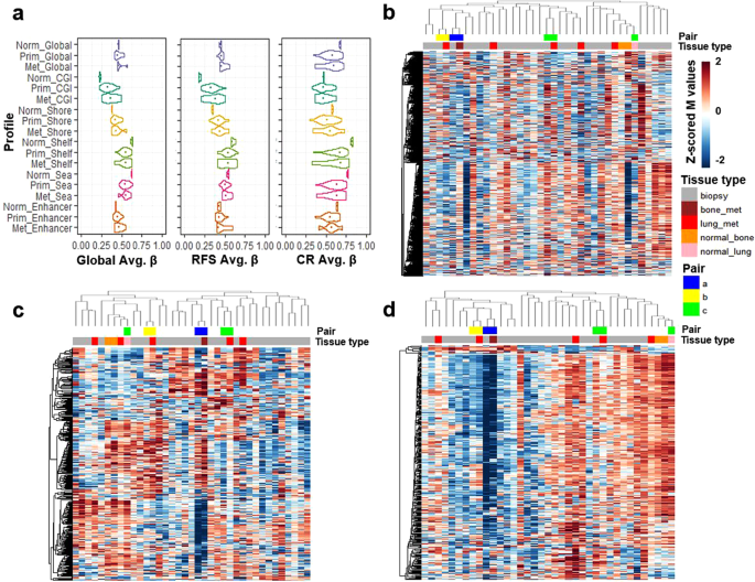 Fig. 6: Methylation profiles in the JNCCRI dataset including primary as well as metastatic tumor and normal tissue.