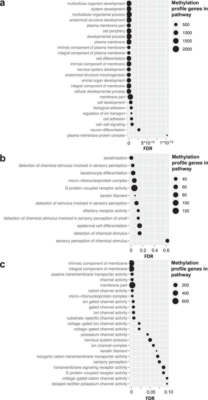 Fig. 7: MissMethyl gometh pathway enrichment analysis of the methylation profiles.