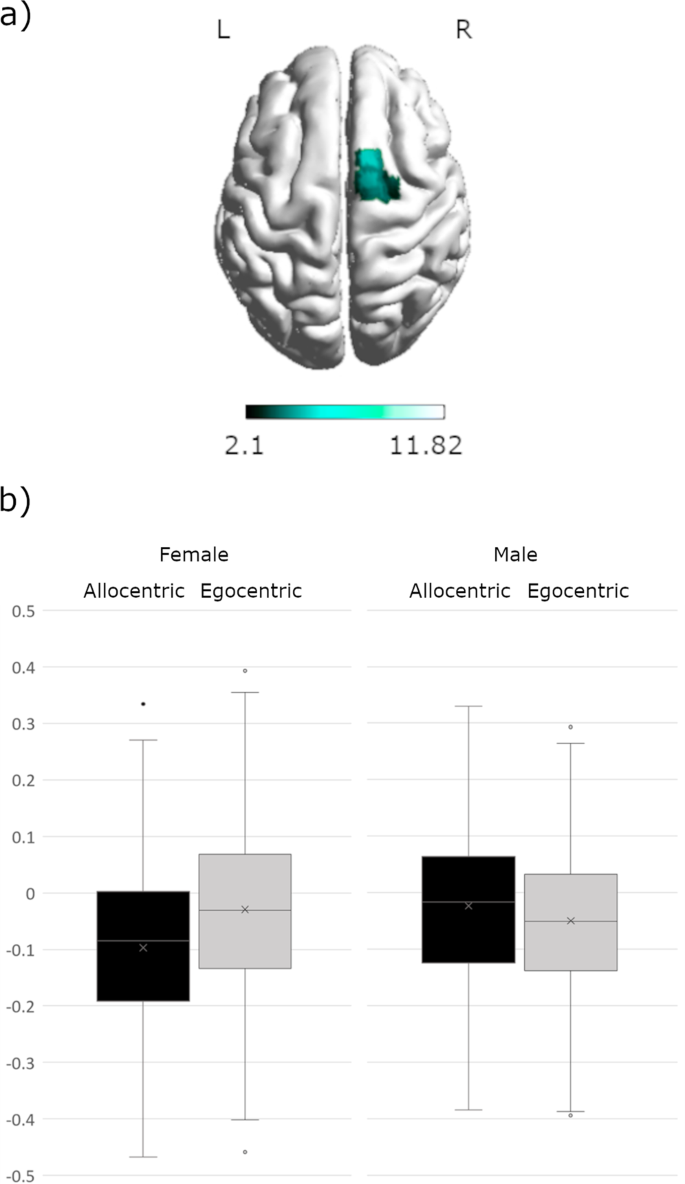 Sex and strategy effects on brain activation during a 3D-navigation task |  Communications Biology