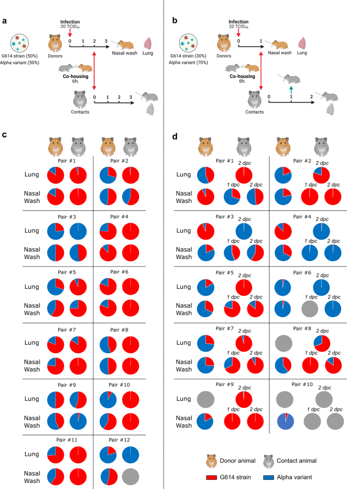 Fig. 2: Transmissibility assessment.