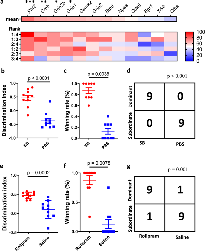 Fig. 4: Memory-improving drug-enhanced social dominance.