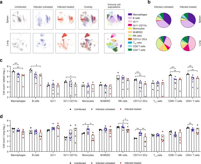 Fig. 4: Effects of SFN treatment in the immune response.
