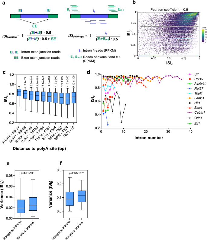 Co Transcriptional Splicing Efficiency Is A Gene Specific Feature That Can Be Regulated By Tgfb Communications Biology