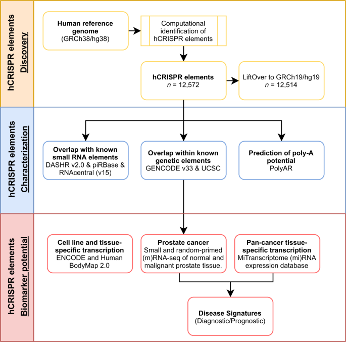 Fig. 1: Overview of study design to detect and characterize the hCRISPRs.