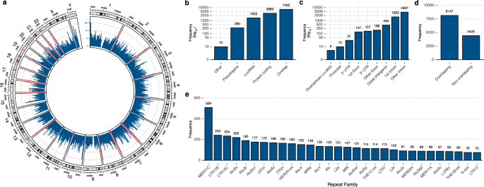 Fig. 2: Genomic representation of the hCRISPRs.