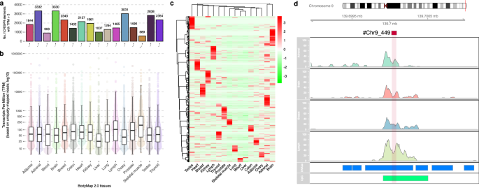 Fig. 4: A subset of the hCRISPRs is actively transcribed in healthy human tissues.