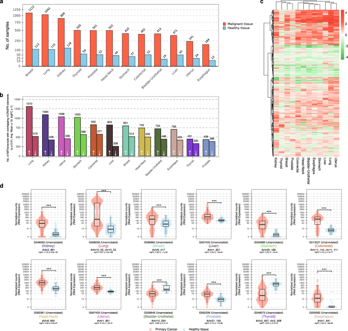 Fig. 6: Cancer-specific expression of MiTranscripts overlapping hCRISPR within the MiTranscriptome cohort.