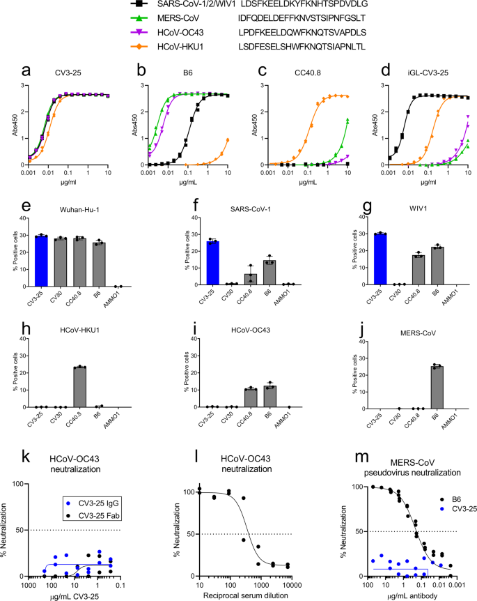 Fig. 5: CV3-25 binds to stem helix peptides from diverse betacoronaviruses but only to cell surface-expressed sarbecovirus spike proteins.