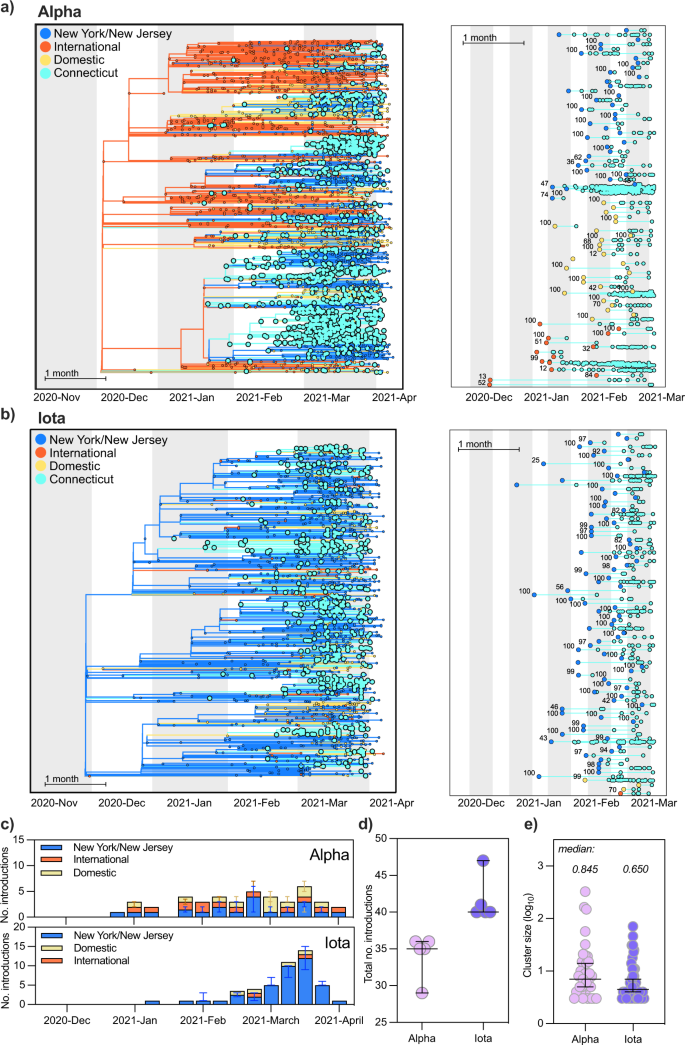 Fig. 3: Alpha was introduced into Connecticut at a similar frequency as Iota but was associated with larger cluster sizes.