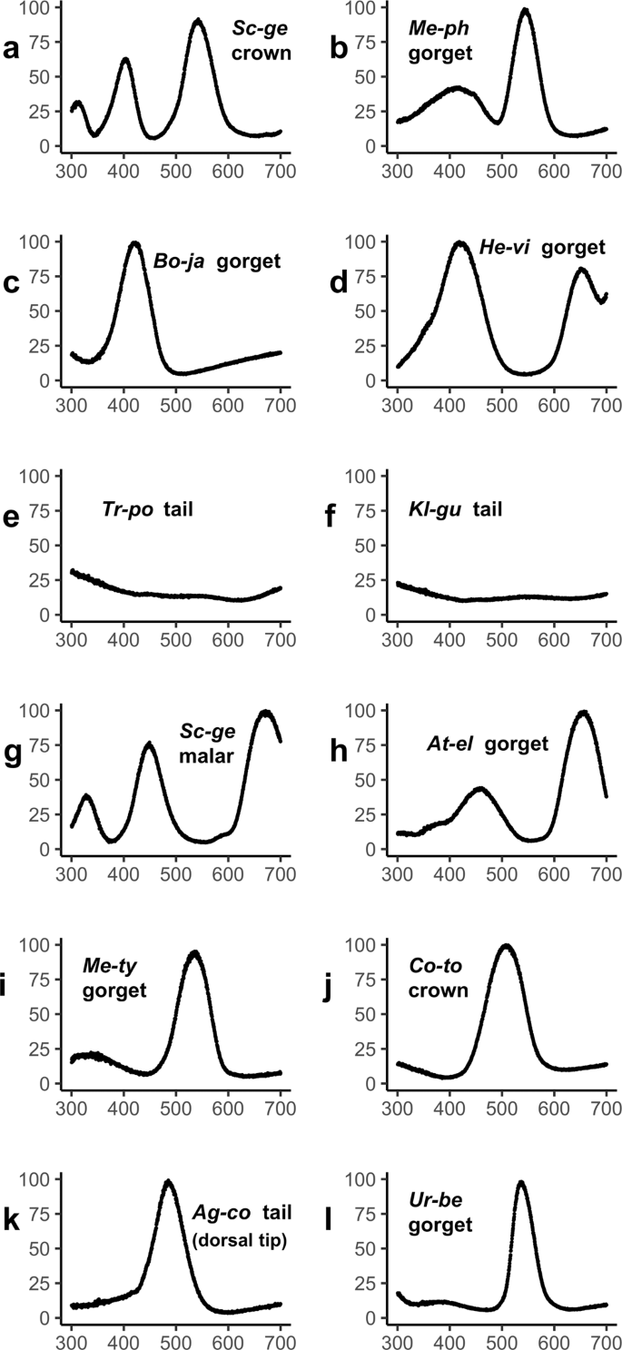 Hummingbird plumage color diversity exceeds the known gamut of all other birds | Communications Biology Hummingbird plumage color... 