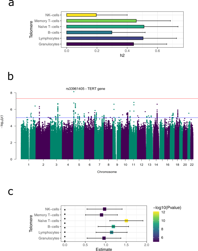 Fig. 2: Genetic determinants of telomere length.
