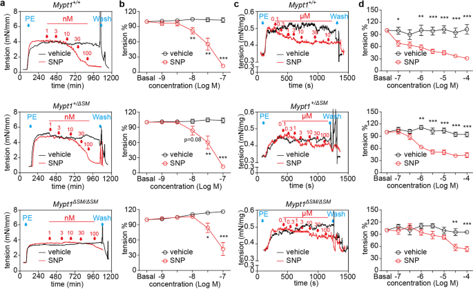 Fig. 4: Relaxant effects of SNP on PE-evoked contraction of MYPT1-deficient dorsal arteries and CCs.