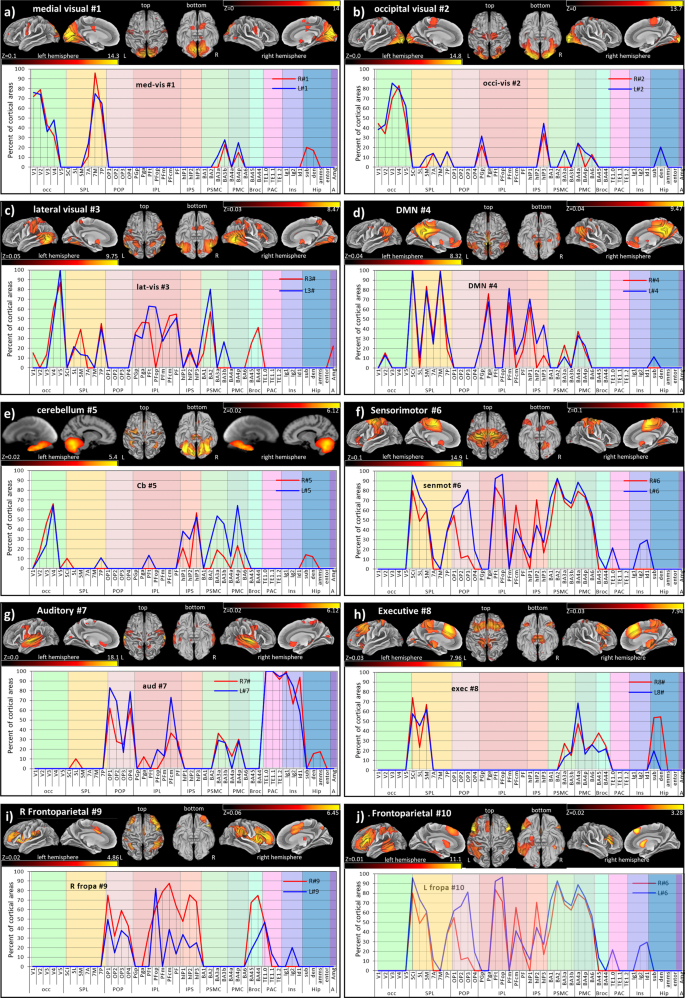 Fig. 1: Cytoarchitectonic Characterization of Smith-10 brain maps.