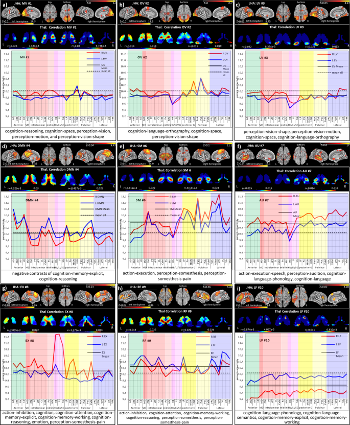 Fig. 3: Cortico-thalamic connectivity of 9 cortical RSN.