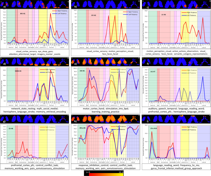 Fig. 9: Large-scale functional network highly correlated neurosynth topic maps within thalamus: each subplot represents a functional network and its highly correlated topic maps (spatially overlaid on six different axial slices, depicting correlation maps with each network).
