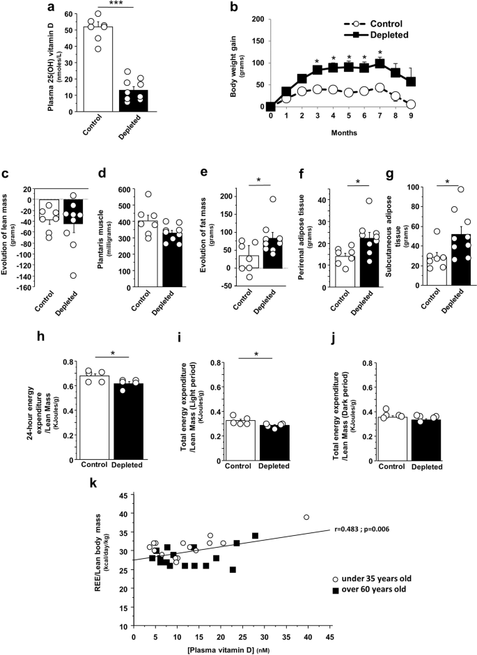 Vitamin D status modulates mitochondrial oxidative capacities in skeletal  muscle: role in sarcopenia | Communications Biology