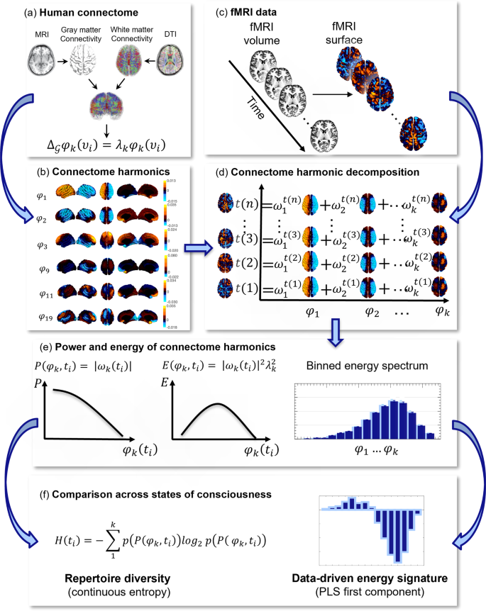 A Synergistic Workspace for Human Consciousness Revealed by Integrated  Information Decomposition