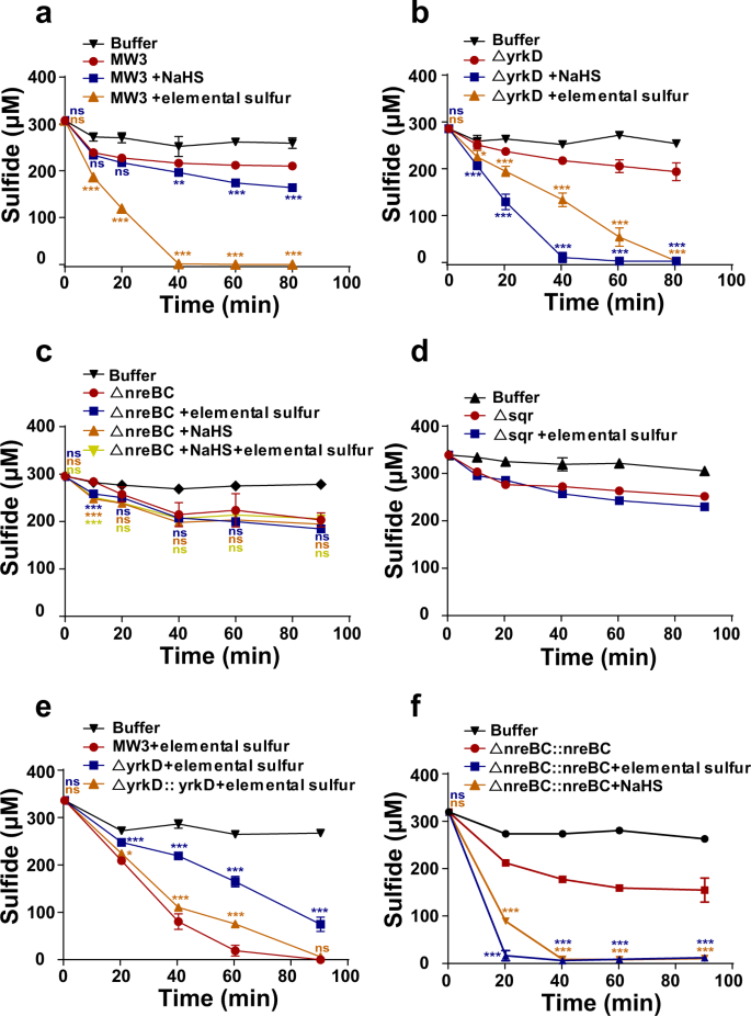 Fig. 3: The effect of gene deletions on sulfide oxidation by B. licheniformis.